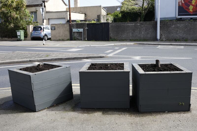 Empty planters with tree stumps on Castle Street in Dalkey.  Photo: Nick Bradshaw
