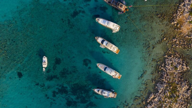 Scuba dive in crystal clear waters, a haven for marine life