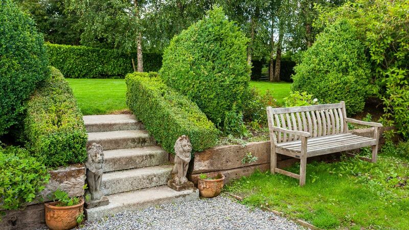 Photo: Niamh Whitty/www.pictureitsold.ie