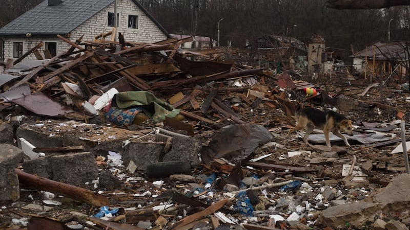 A view of a destroyed residential house on  in Novoselivka, Chernihiv suburbs, Ukraine. Photograph: Anastasia Vlasova/Getty Images