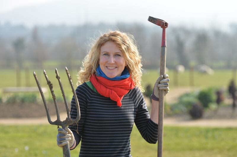 Another unusual fruiting shrub that Kitty Scully (above) recommends growing is the super-tough chokeberry (Aronia melnocarpa). Photograph: Alan Betson 
