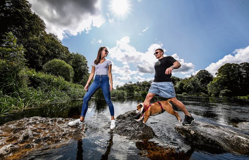 Photograph: Dan Sheridan/Inpho