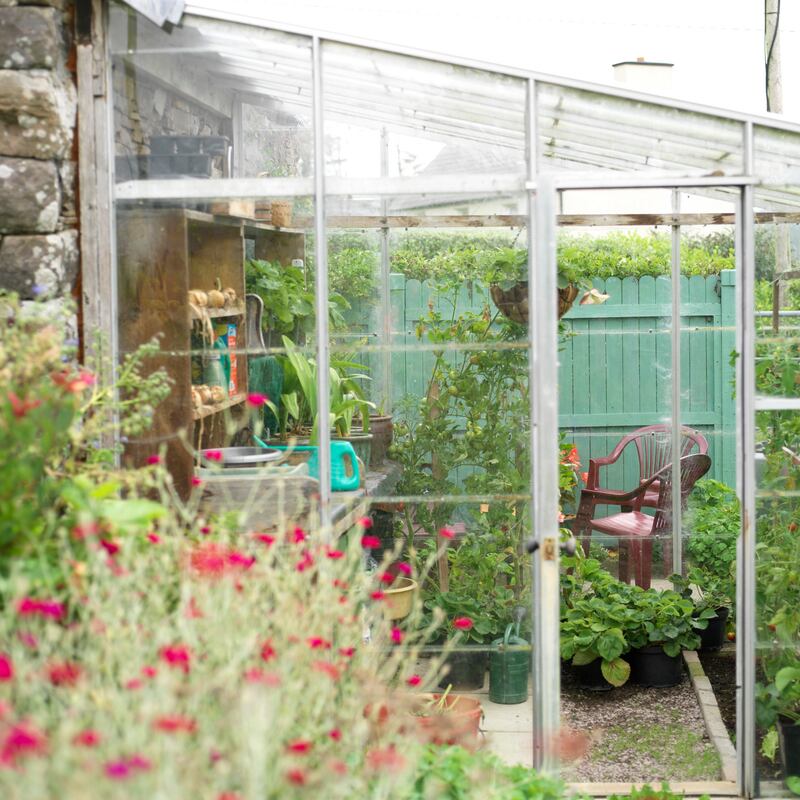 Photograph: Richard Johnston