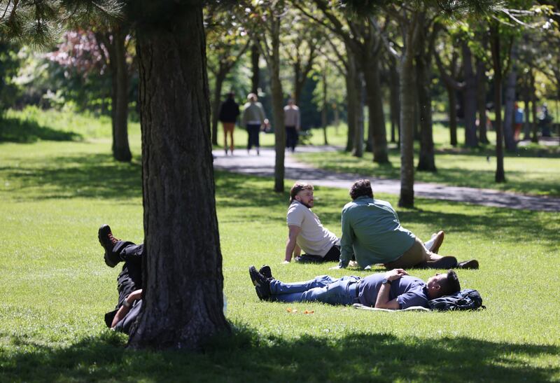 Herbert Park, Ballsbridge: hosts a food market every Sunday. Photograph: Bryan O’Brien 