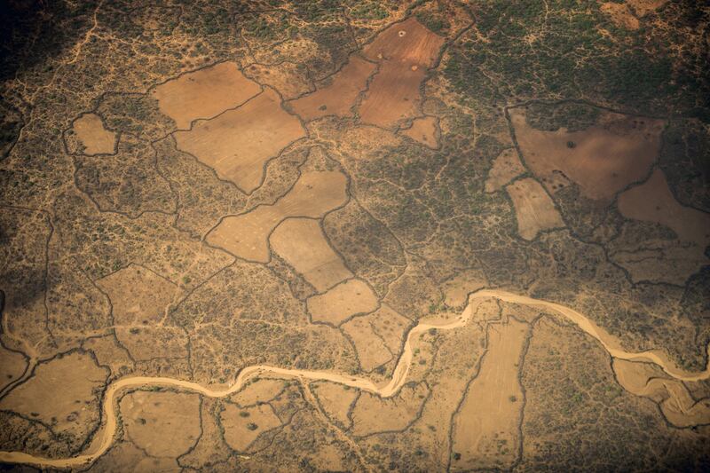 Parched farmland in southern Somalia, where drought has caused huge suffering this year and indicated what could happen elsewhere too. Photograph: Andrea Bruce/The New York Times