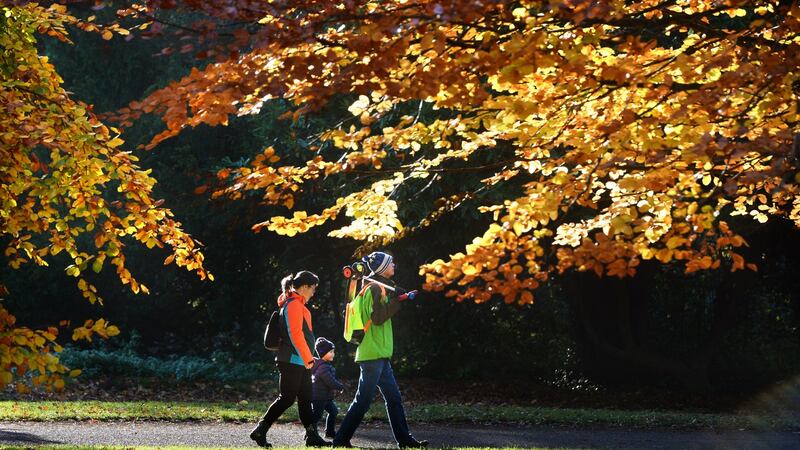 Autumn colours in St. Anne’s Park, Clontarf, Dublin. Photograph: Dara Mac Dónaill
