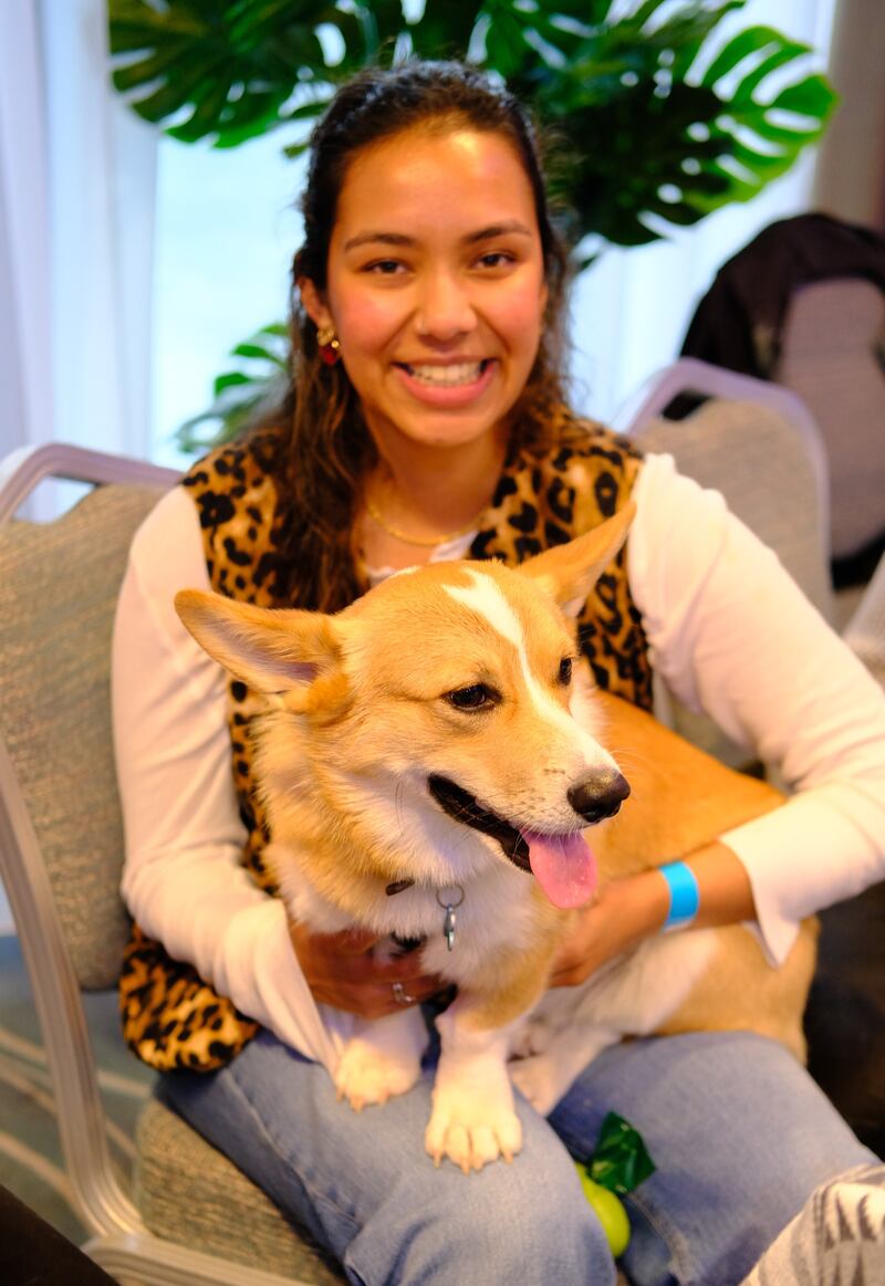 Happy faces and wagging tails at Hilton Dublin Kilmainham Pet Day