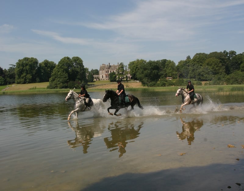 Castle Leslie Horses