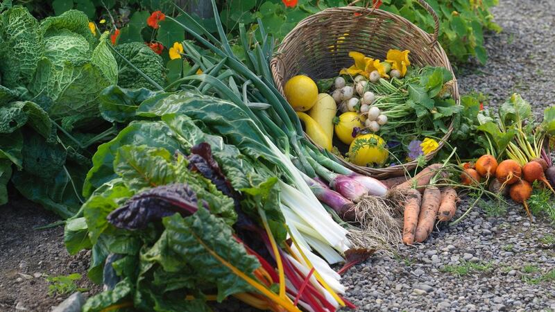 Freshly harvested produce in the walled kitchen garden of Burtown House in Co Kildare. Photograph: Richard Johnston