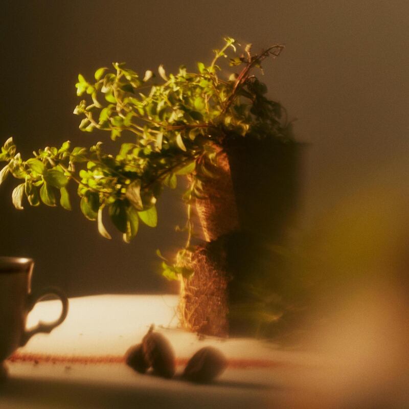 Some smells are vital to quality of life, to accessing memories, to connecting with nature. Photograph: Ryan Jenq/The New York Times