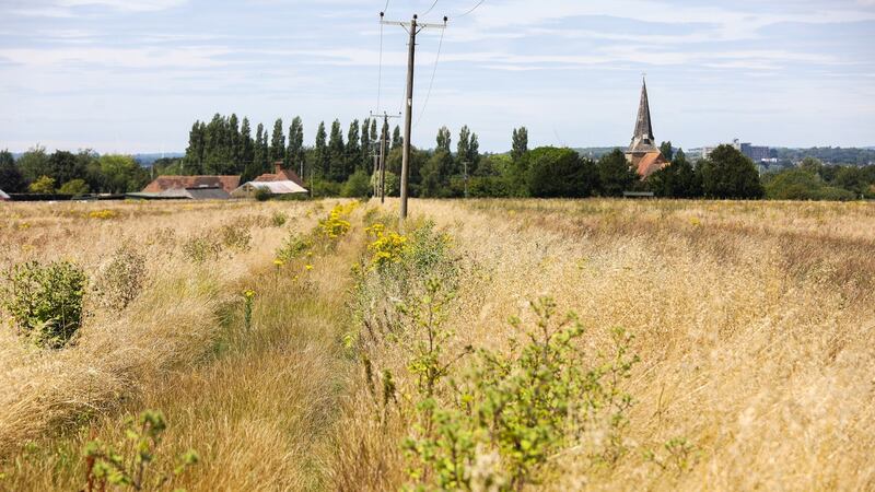 The site in Ashford, Kent, where the UK government intends to building a 27-acre holding pen for 10,000 trucks heading to Dover. Photograph: Chris Ratcliffe/Bloomberg