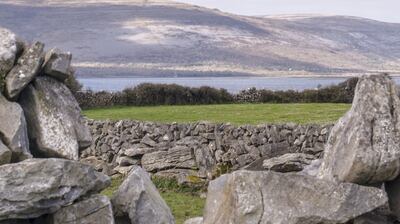Wood Loop walk, starting from Ballyvaughan,   offers splendid views of the Burren’s folded limestone layers and terraced hills.