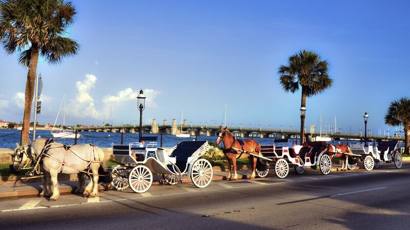 Horse-drawn carriages line up in the town of St Augustine in Florida. Photograph: Getty