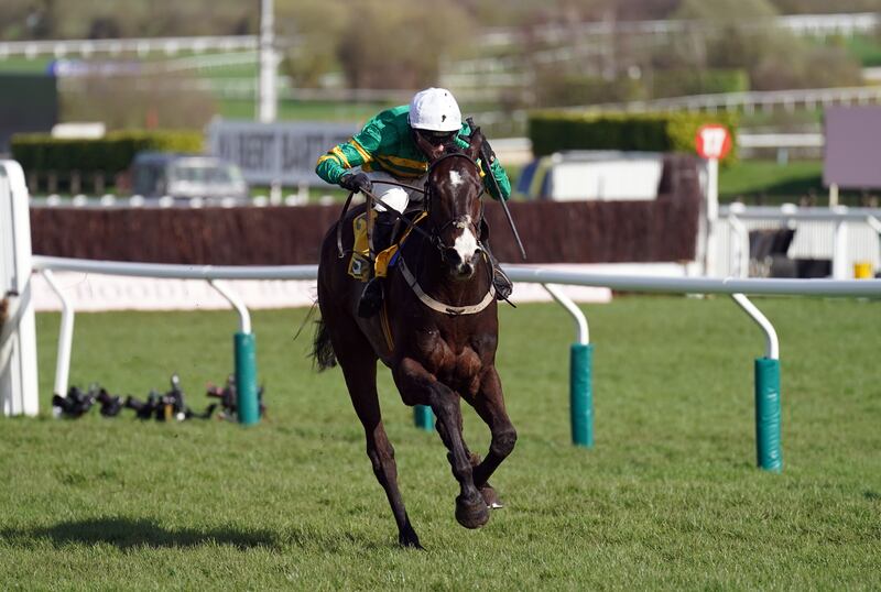 On Saturday, Majborough turned in a tremendous performance to take the Irish Stallion Farms EBF Beginners Chase at Fairyhouse. Photograph:  Adam Davy/PA Wire