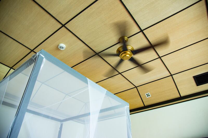 Ceiling fans disturb airflow, making it harder for bugs to land on you. Photograph: iStock