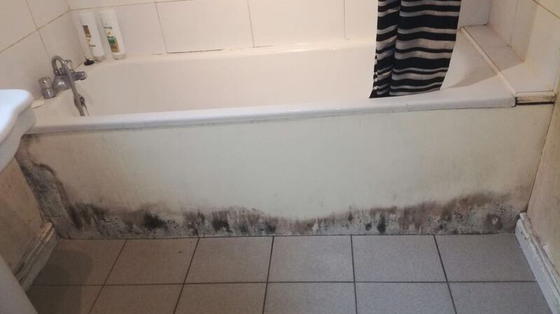 Some families say their houses are prone to mould growth.