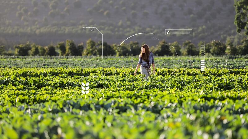 While 65 per cent of Irish organisations surveyed believed AI will have a significant impact on their business, none of them considered themselves advanced in terms of its adoption.