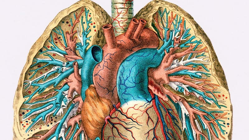 Covid-19 overwhelmingly kills through the lungs. And because so many patients are not going to the hospital until their pneumonia is already well-advanced, many wind up on ventilators.