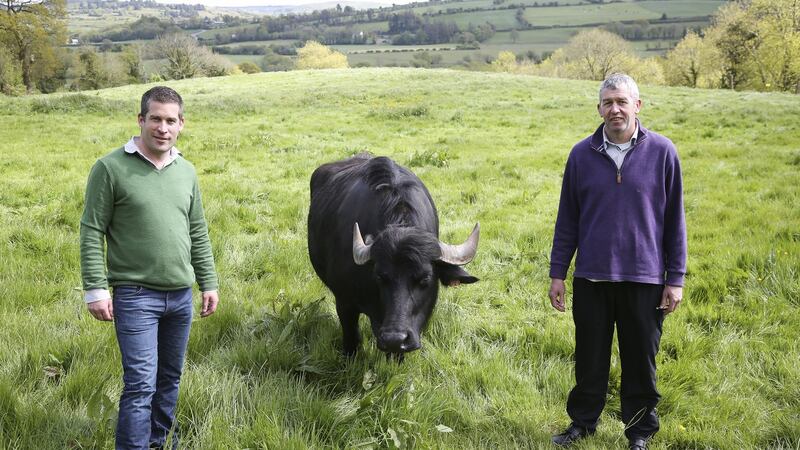 Toby Simmonds left, Johnny Lynch of Toonsbridge Dairies buffalo mozzarella business.