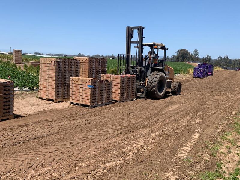Tip2Top in California: Produce waiting to be moved at the fields