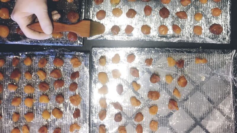 Cúán Greene working on dried Mirabelle plums in the kitchen at Noma