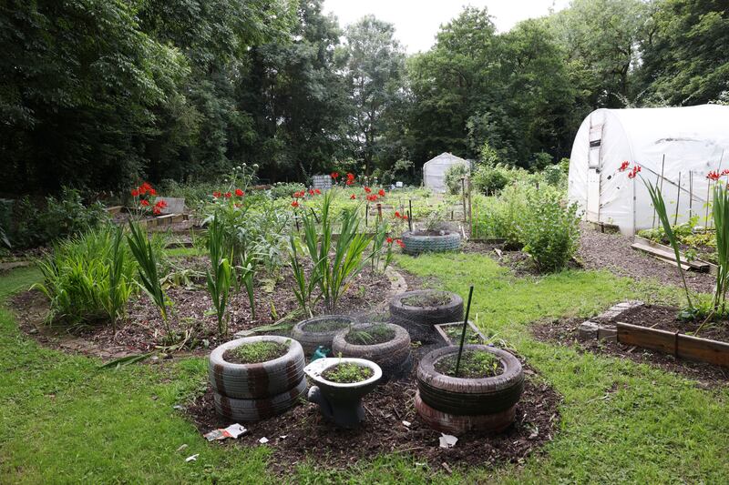 The garden was born around 2010 out of an international group at the Intercultural Centre. Photograph: Laura Hutton