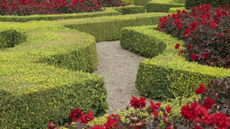 What’s essential to successful control is carefully monitoring your hedging for early signs of infestation. 