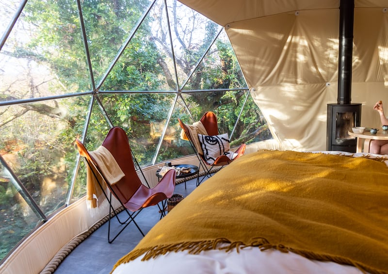 Fernwood Farm Forest Dome in Co Galway sits five metres off the woodland floor