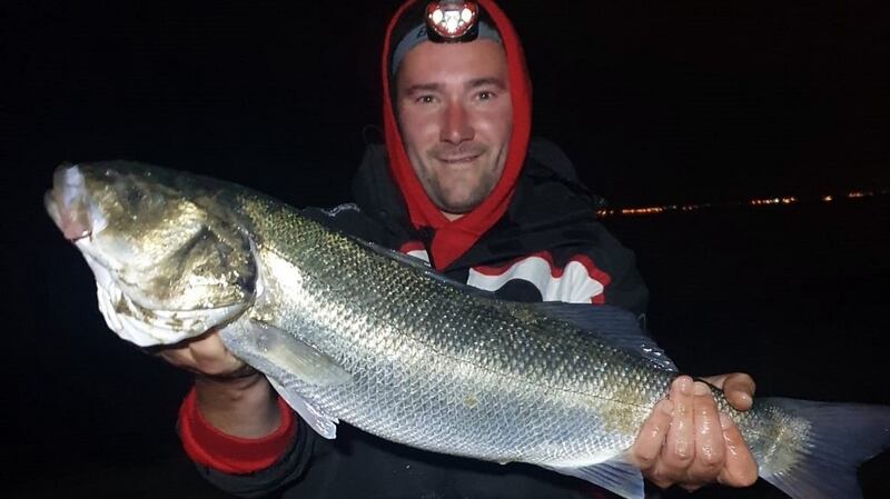 Night time fishing paid off for Dublin angler David McGregor last Tuesday with a 70cm bass from Laytown Beach, Co Meath, which he sportingly returned