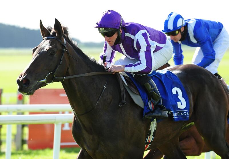 The most interesting former Aidan O’Brien horse on view at Leopardstown will be High Definition in the very first race of the festival. Photograph: PA Wire