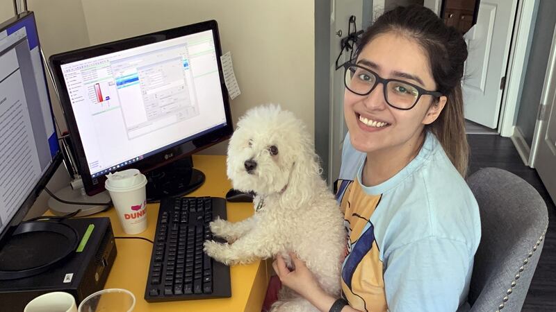 Mayra Ramirez, who is a paralegal, working from home with her dog, Molly Monster, on April 10th, shortly before she became ill with coronavirus. Photograph: The New York Times