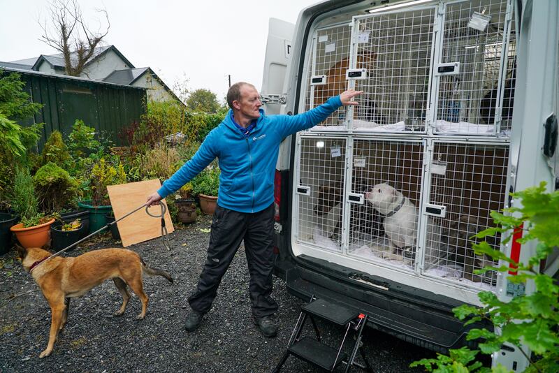 Andy Cullen is travelling to Sweden with 17 dogs, many of whom are XL-type animals. Photograph: Enda O'Dowd