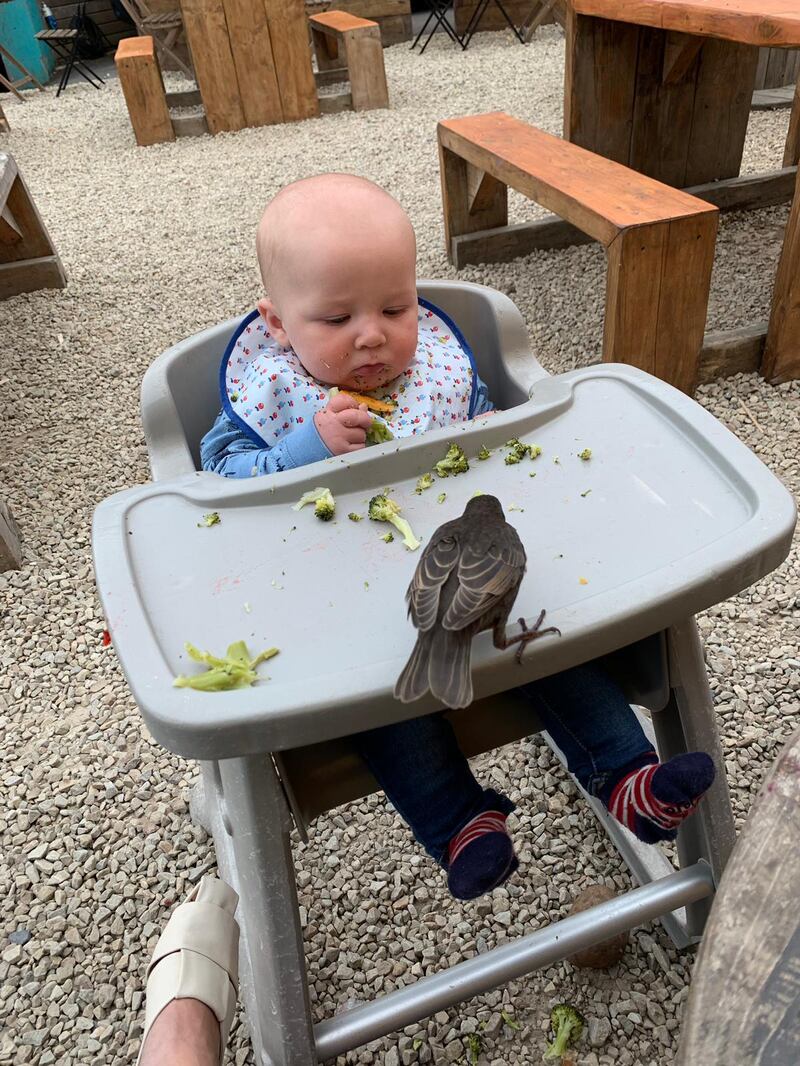 That’s my broccoli. Photograph: Charlotte Simpson