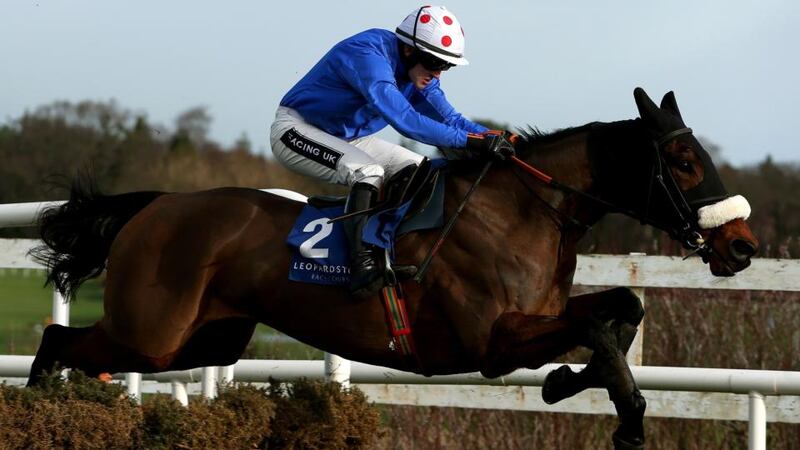 Quickpick Vic ridden by Ruby Walsh clears the last on the way to win the Leopardstown Sports Lounge Maiden Hurdle  at Leopardstown Racecourse. Photograph:  Brian Lawless/PA