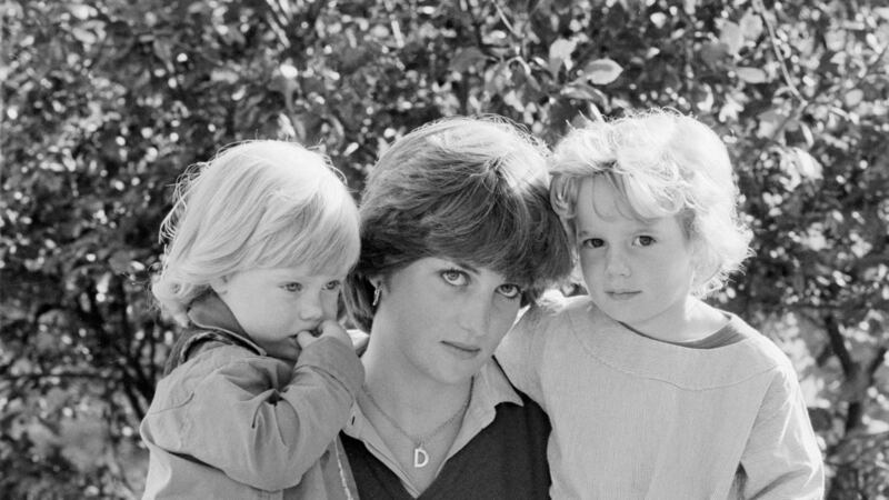 Was it the images of Diana as a vibrant mother of two happy sons that hit a nerve?