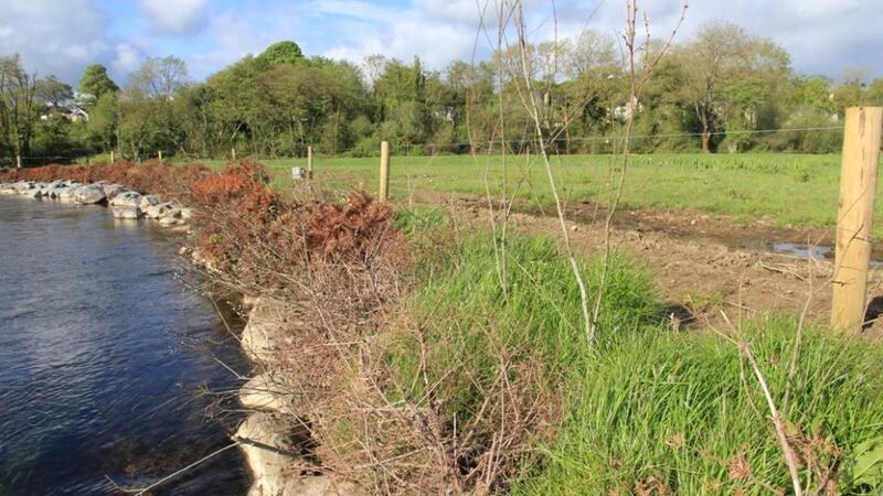 The river was “taking lumps out of my field”: Tony Ahern’s farm on the River Dalua in Co Cork, after restoration work. Photograph: Fran Igoe