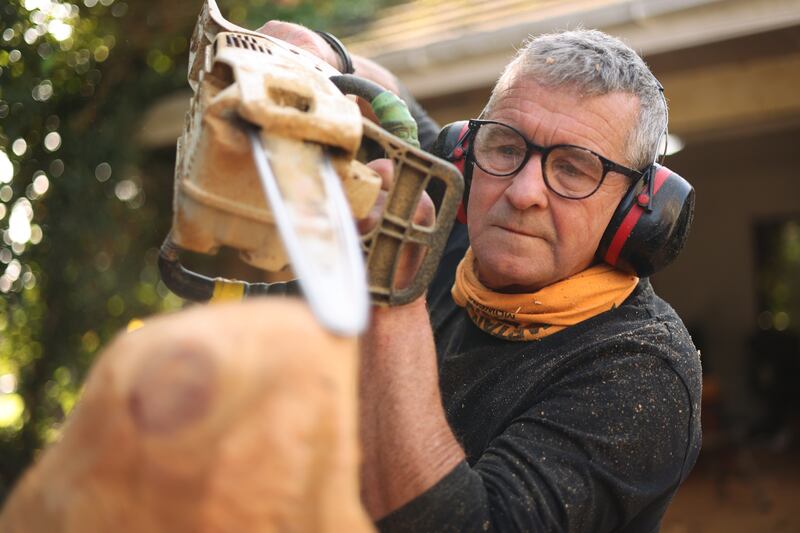Chainsaw sculptor Will Fogarty. Photograph: Bryan O’Brien