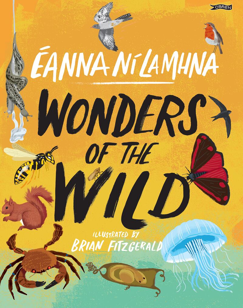 Wonders of the Wild by Éanna Ní Lamhna, illustrated by Brian Fitzgerald