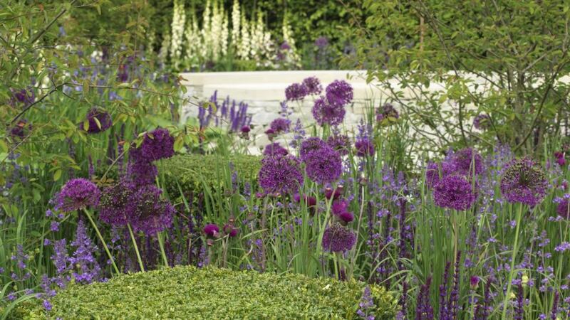 Jane McCorkell’s “Our Origin is Green” large show garden. Photograph: Richard Johnston
