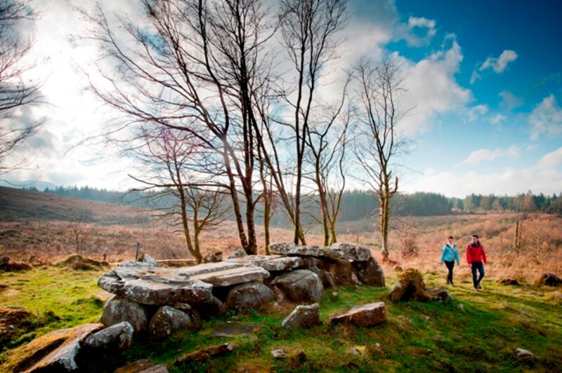 Giant's cave, Cavan Burren Park