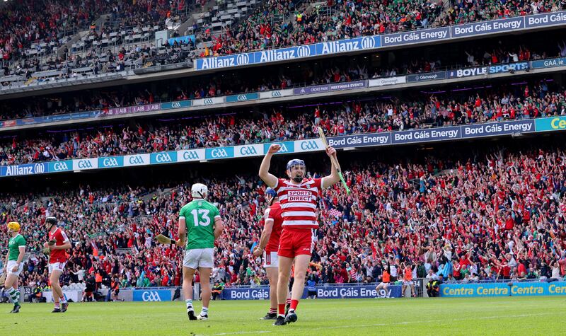 Cork’s goalkeeper Patrick Collins celebrates victory. Photograph: James Crombie/Inpho
