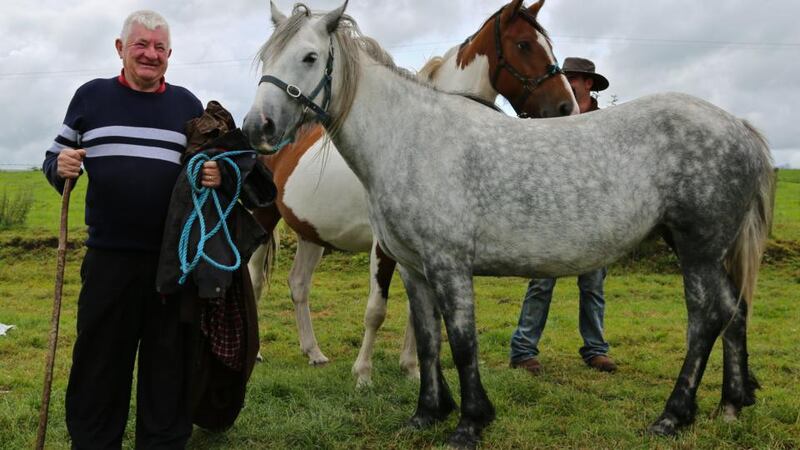 Happy handler at Ireland’s oldest fair