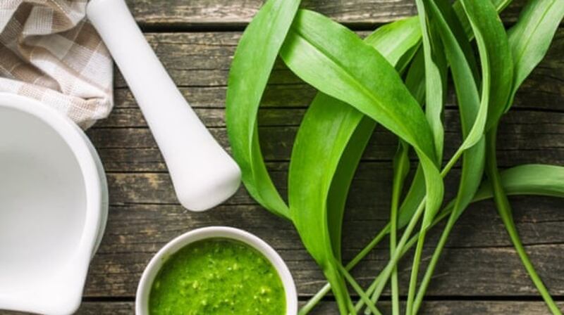 Wild garlic leaves . . . a prized replacement for basil. Photograph: jirkaejc/Getty Images/iStockphoto