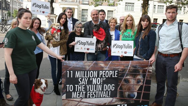 Sandi Thom, Lucy Watson, Carrie Fisher, Marc Abraham, Jenny Seagrove, Anneka Svenska and Victoria Stilwell  at an event to mark the submission of an  11 million signature petition calling for an end to China’s Yulin dog meat festival at Chinese Embassy London. Photograph:  Neil P Mockford/Getty