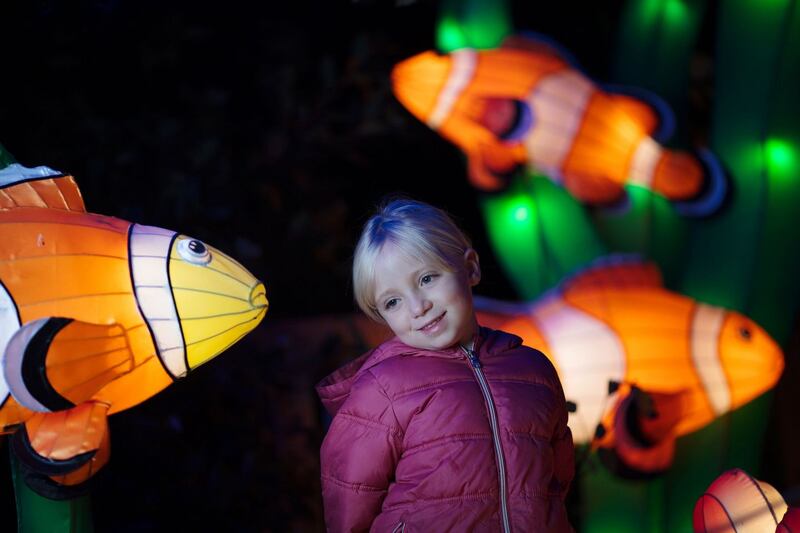 Beth Healy pictured at the display at Wild Lights in Dublin Zoo.