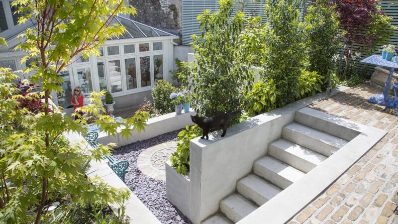 Hard landscaping in Róisín Lafferty’s  back garden creates a multi-level space to catch the sun. Photograph: Anthony Woods