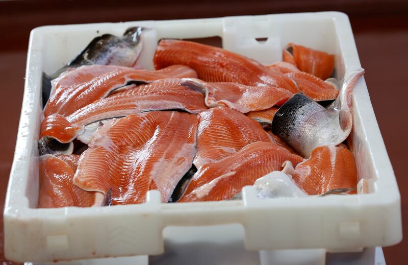 Goatsbridge trout being processed