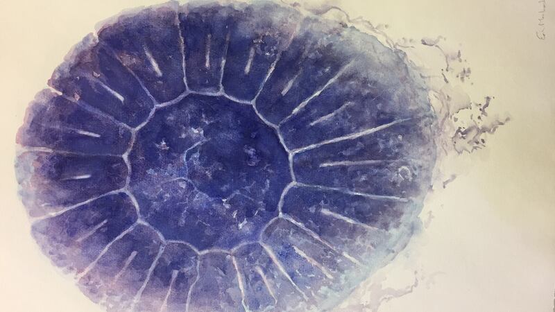 Eoin Mac Lochlainn’s “Bluefire Jellyfish” paintings