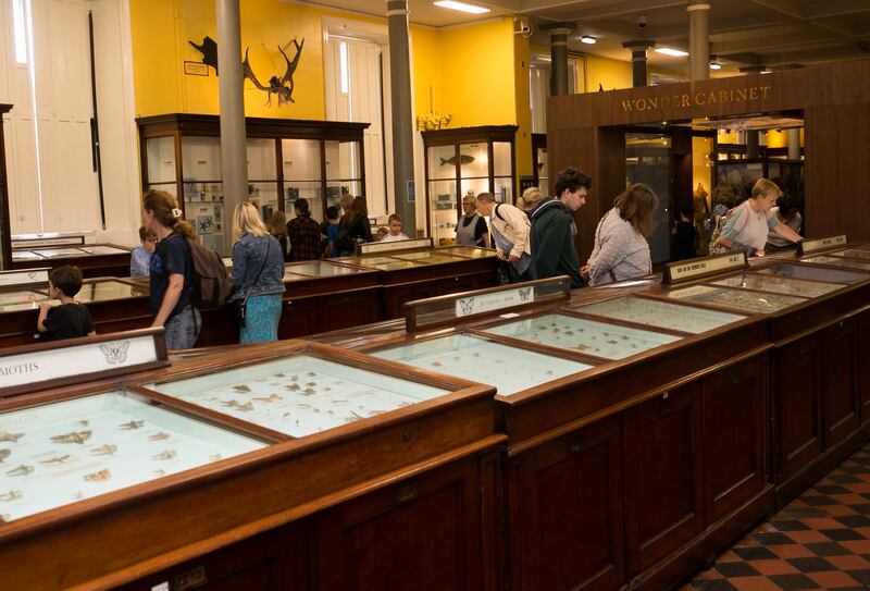 Members of the public at Dublin's Natural History Museum (The Dead Zoo) on Merrion Street. Photograph: Gareth Chaney/ Collins Photos