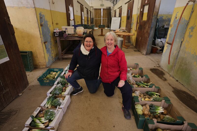 Volunteers Catherine Moloney and Aisling Mahon  at Kyrie Farm. Photograph: Alan Betson